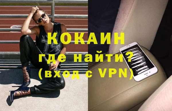 шишки Майский