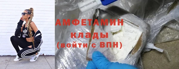 шишки Майский
