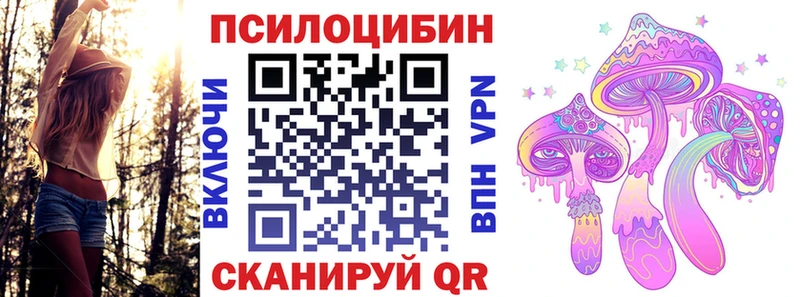 Купить где  Ефремов  Галлюциногенные грибы ЛСД 